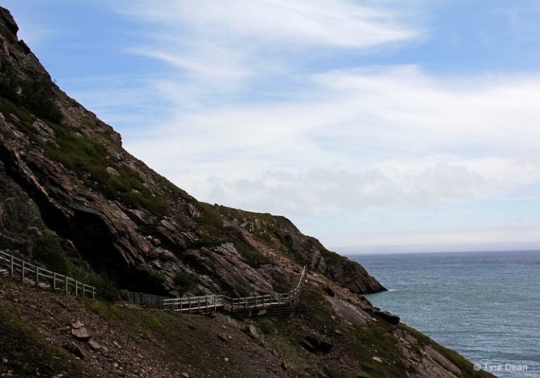 Newfoundland – Signal Hill’s North Head Trail