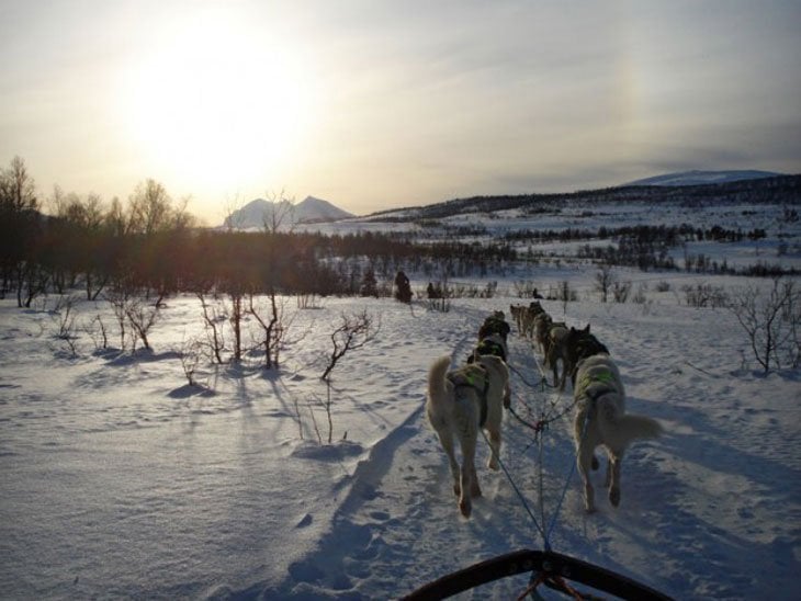 Norway – Tromsø and Dog Sledding