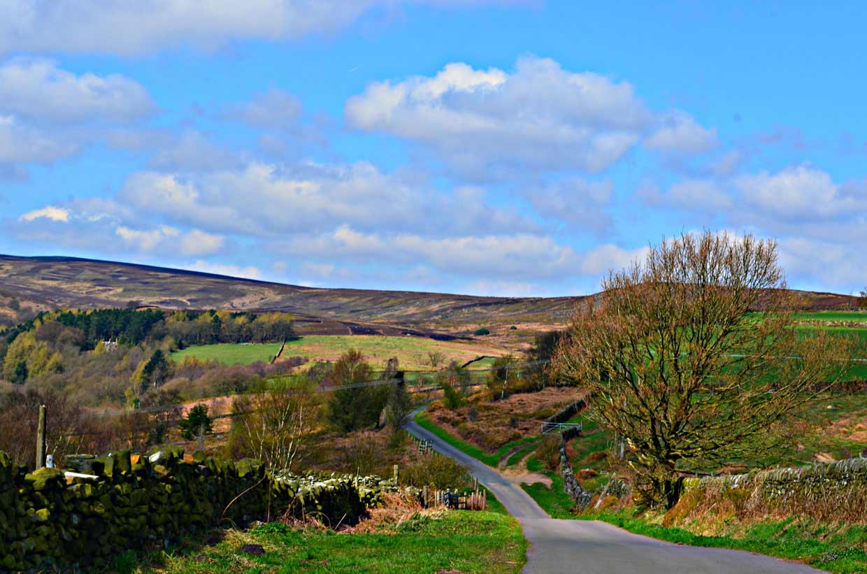 11,-Long-Country-Back-Road