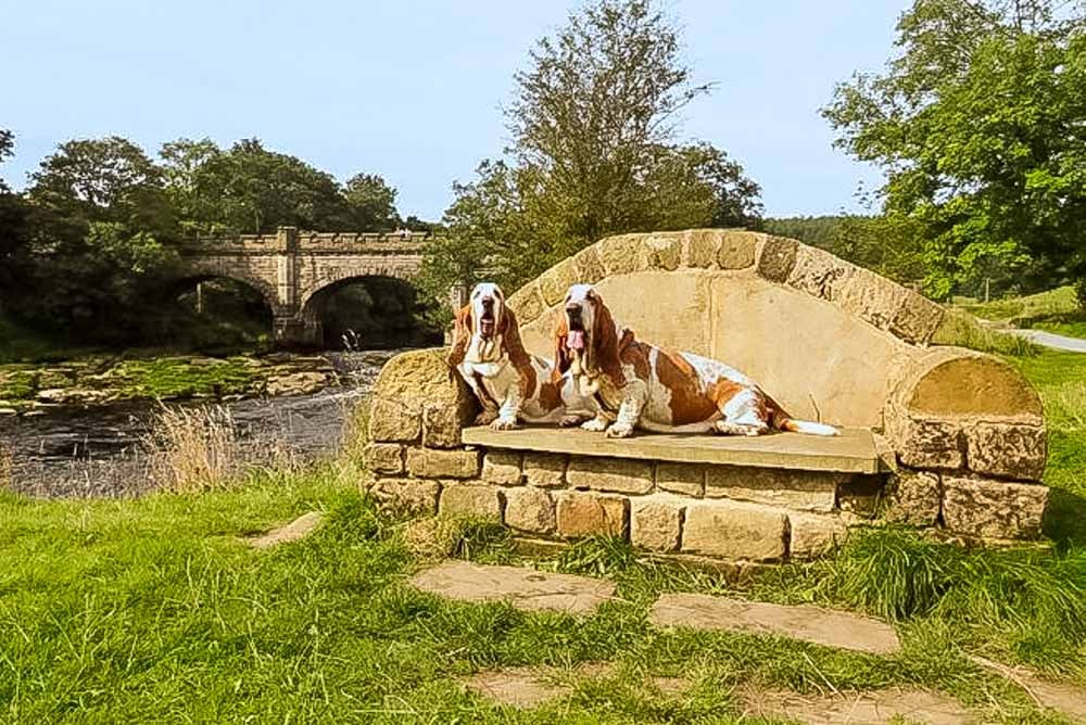 2 dogs bolton abbey walk