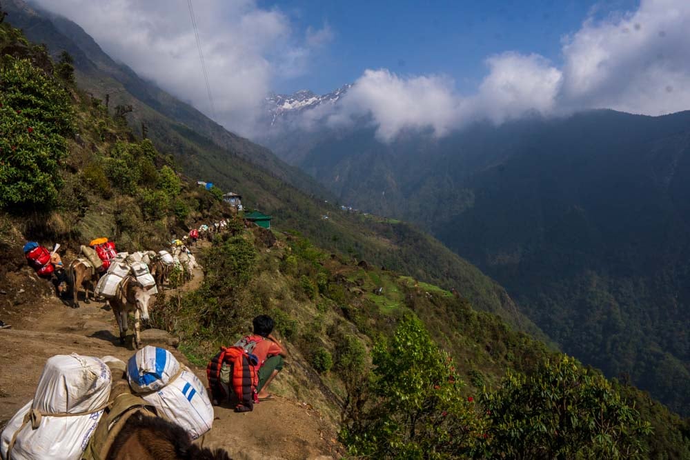 Donkey train near Paiya