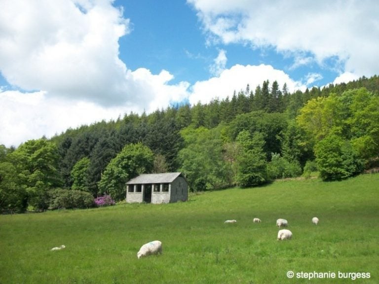 Four Seasons at the Hafod Estate, Pontrhydygroes