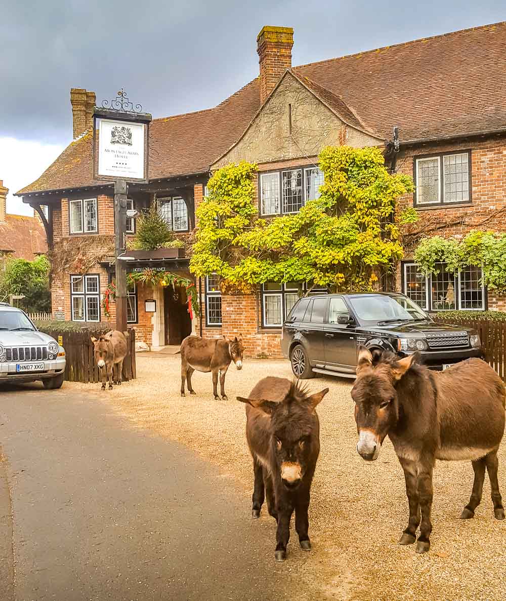 Beaulieu pub with donkeys