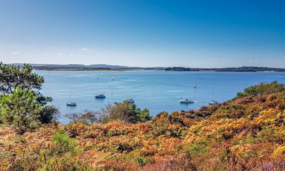 Brownsea Island and The Red Squirrels 13