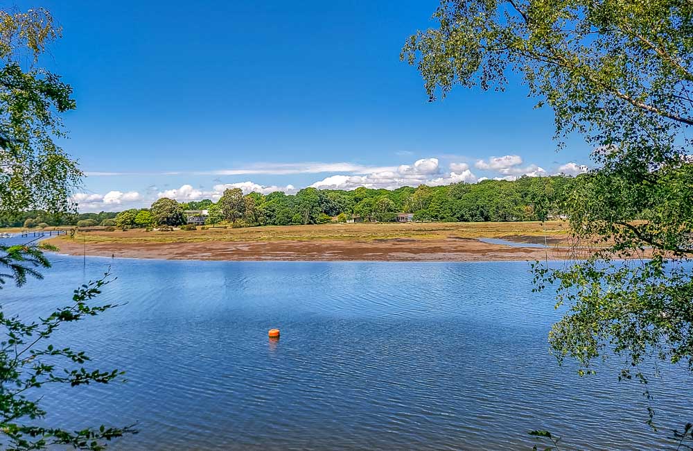 beautiful New Forest National Park