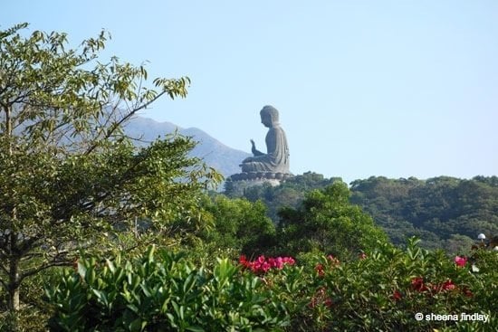 Tian Tan Buddha, Hong Kong