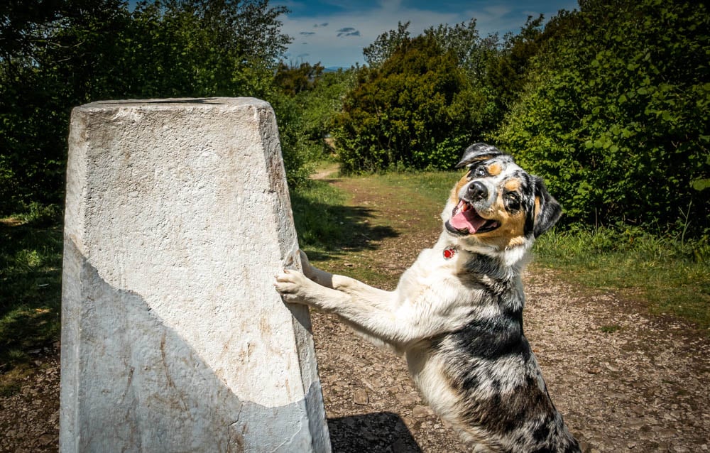 Arnside Knott trig point