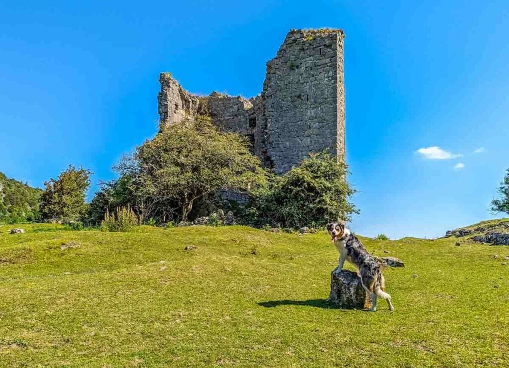 arnside tower cumbria