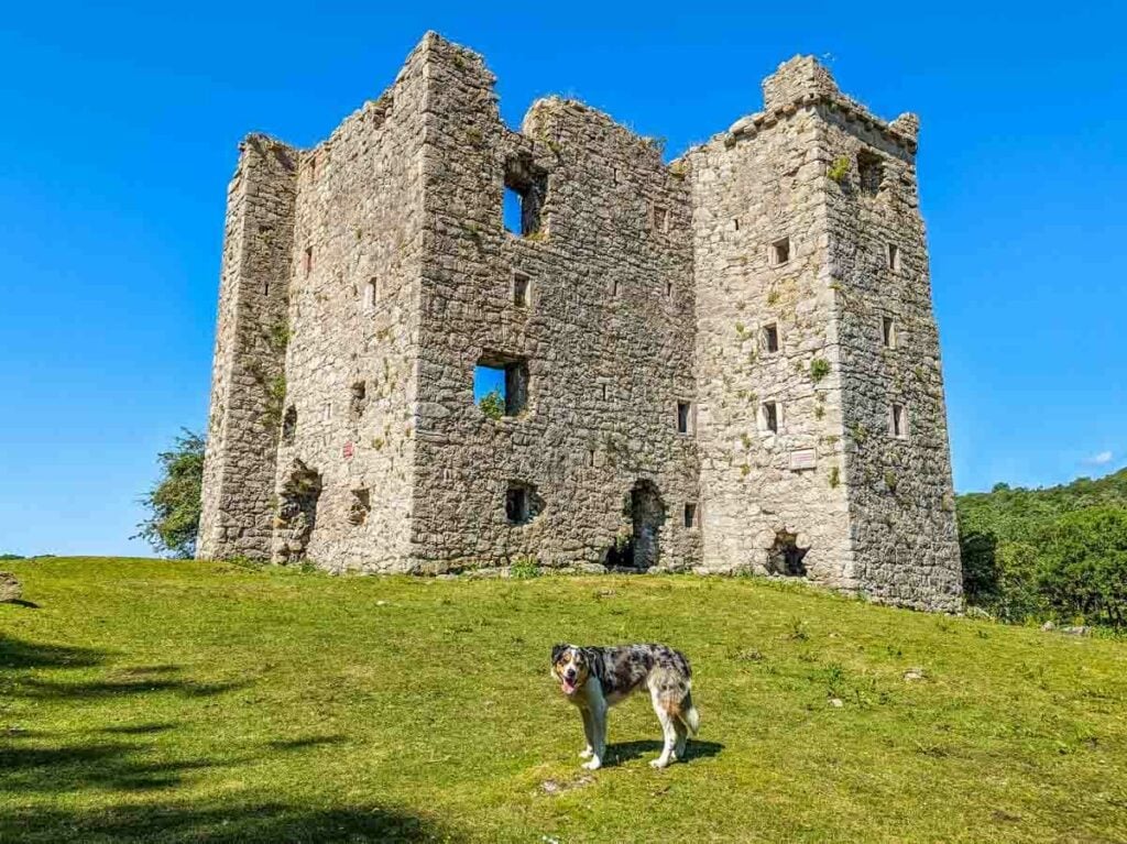 arnside tower ruins