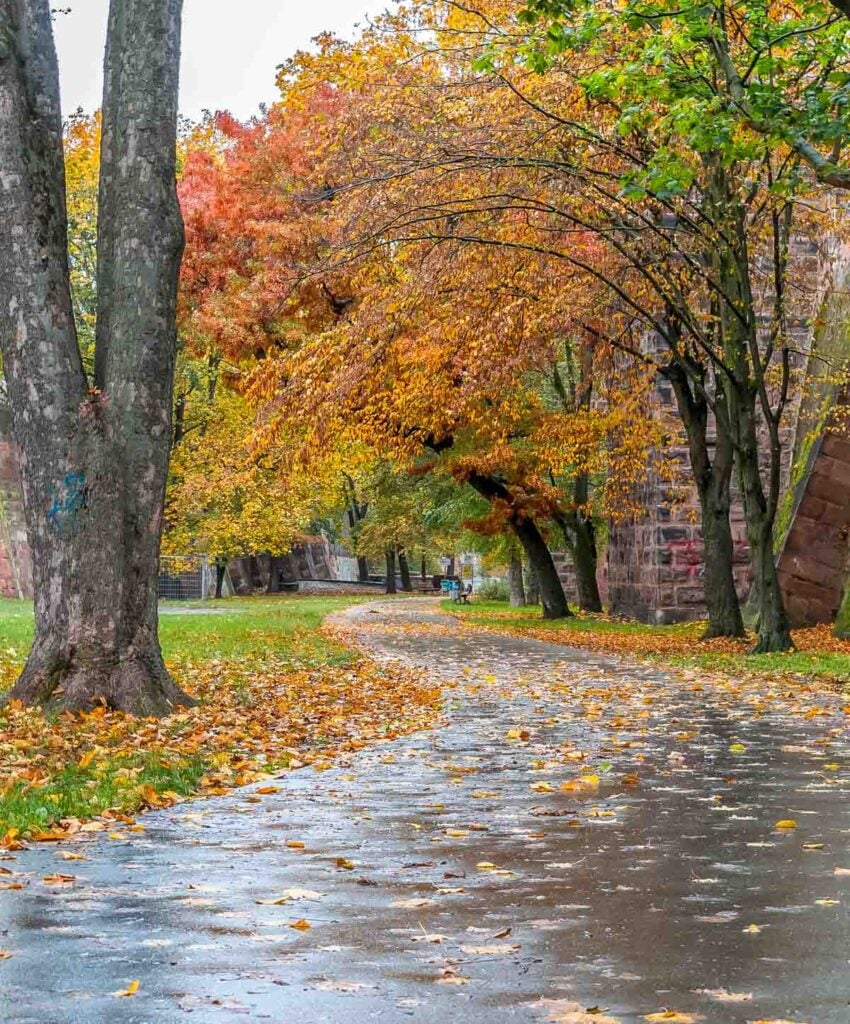 autumn german footpath in Nuremberg