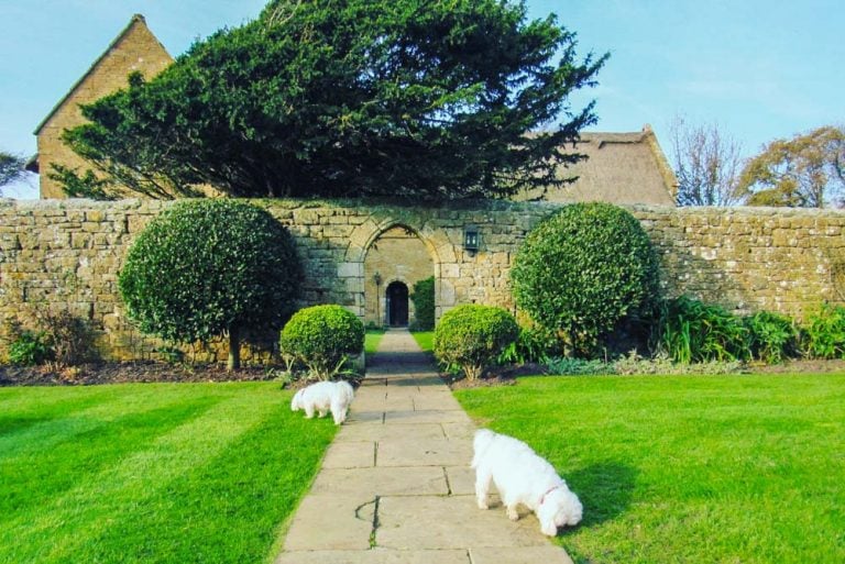 Dog Friendly Stay at Bailiffscourt Hotel, West Sussex