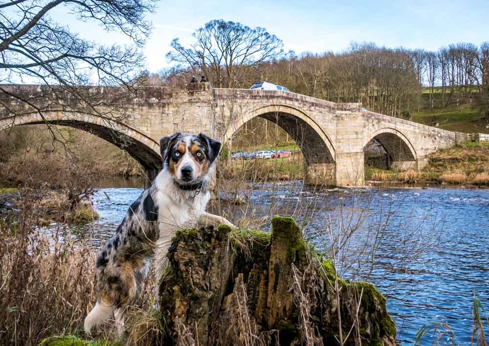 barden bridge