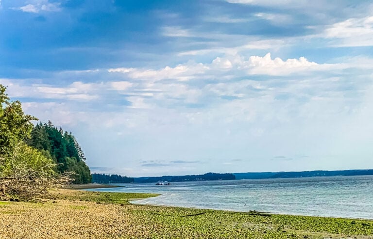 Harstine Island, Washington