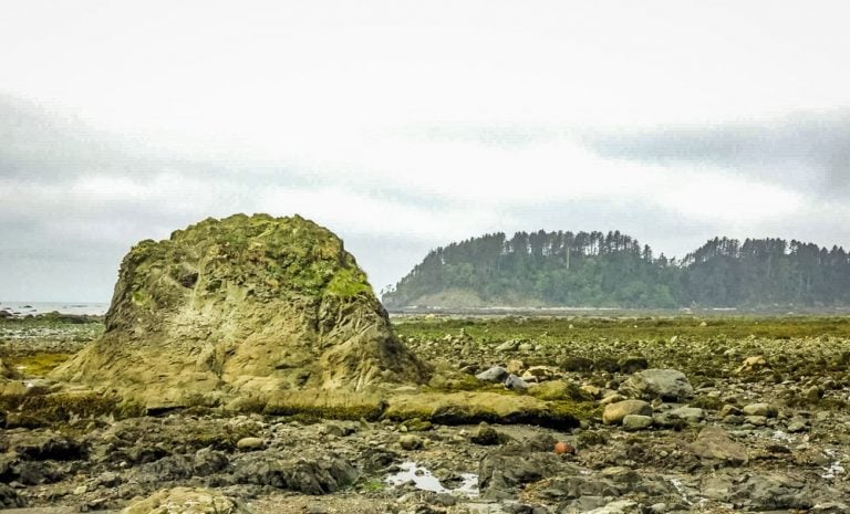 The Ozette Triangle Loop Trail, Olympic National Park