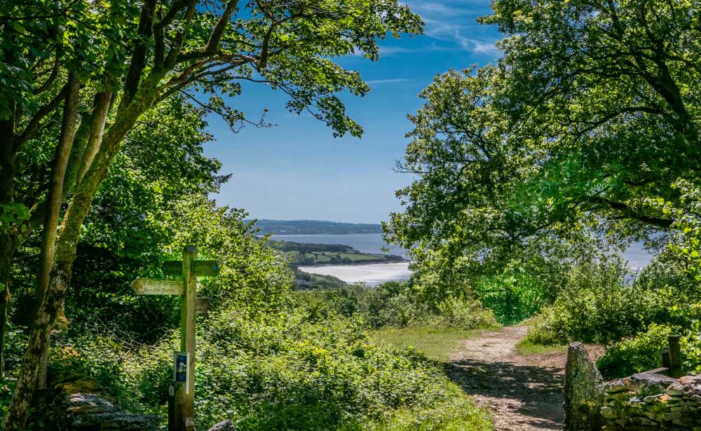 view from arnside knott