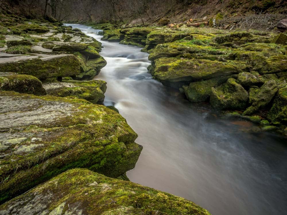 bolton abbey strid