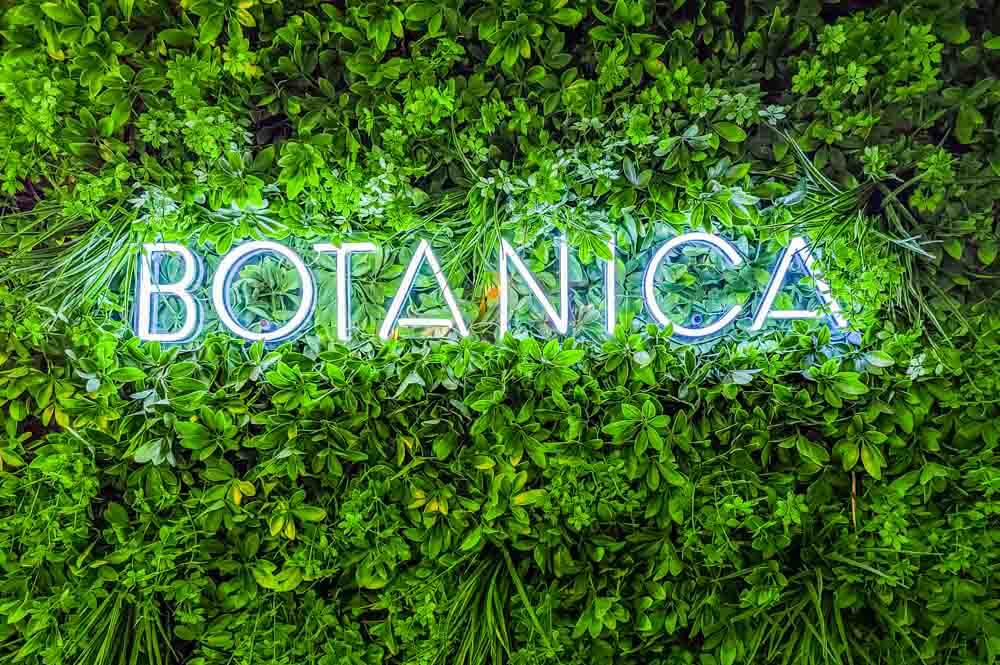 A Dining Experience At Botanica, Kirkby Lonsdale 1