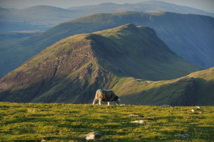 Beautiful Britain – Sheep In The Scenes 6