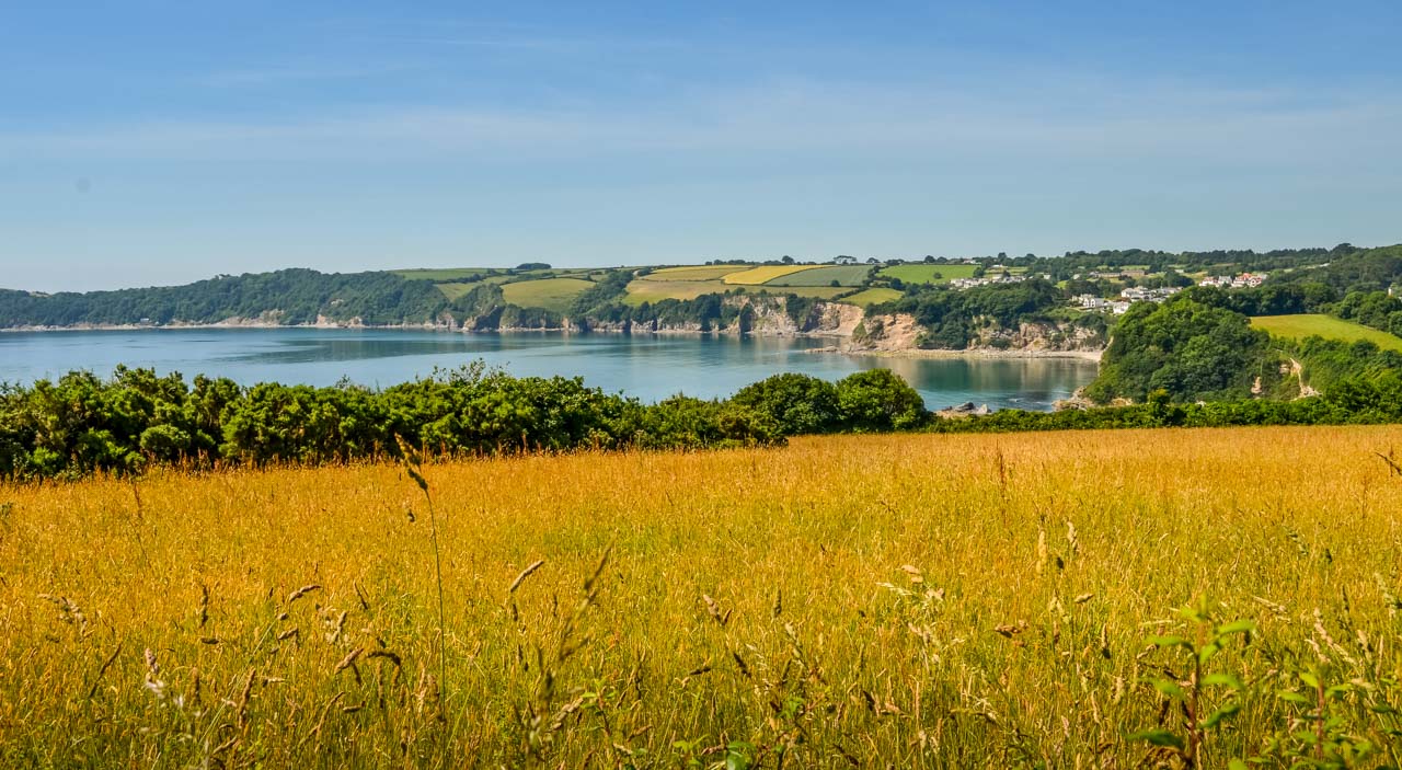 Carlyon bay cliffs