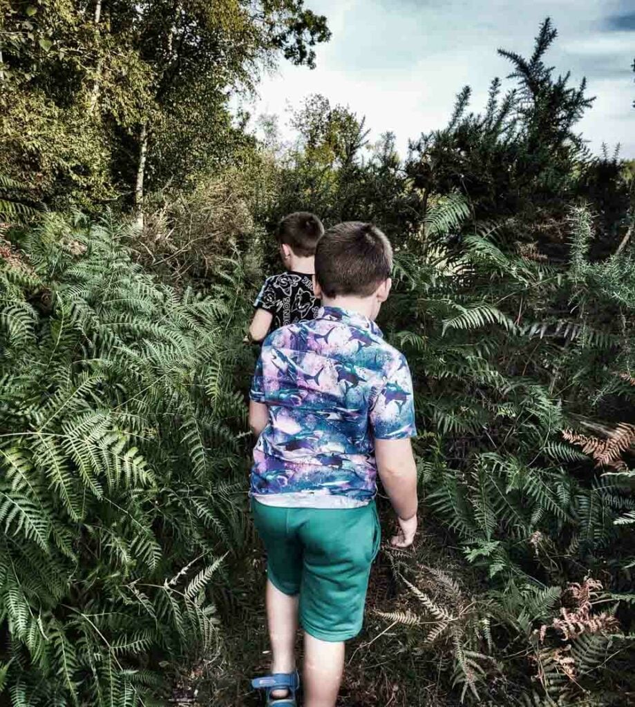 children hiking through trees