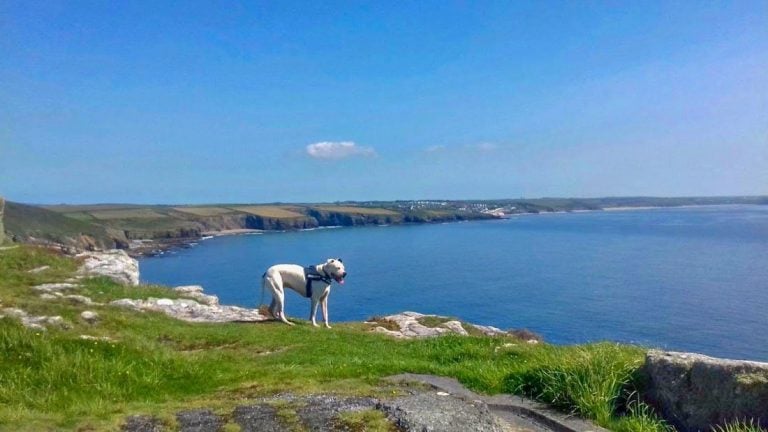 A Cornish Escape, Tin Mines and Coves