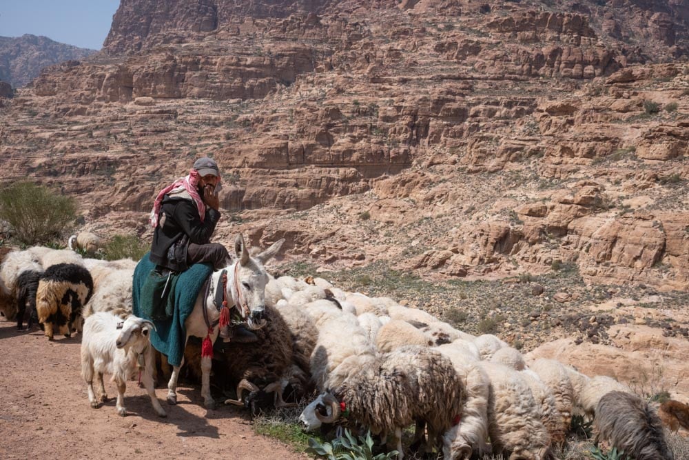 The Jordan Trail – Dana to Petra 4