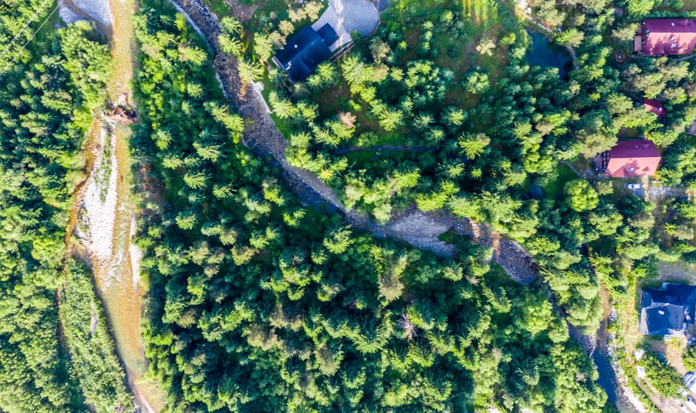 trees and buildings mavic pro 2