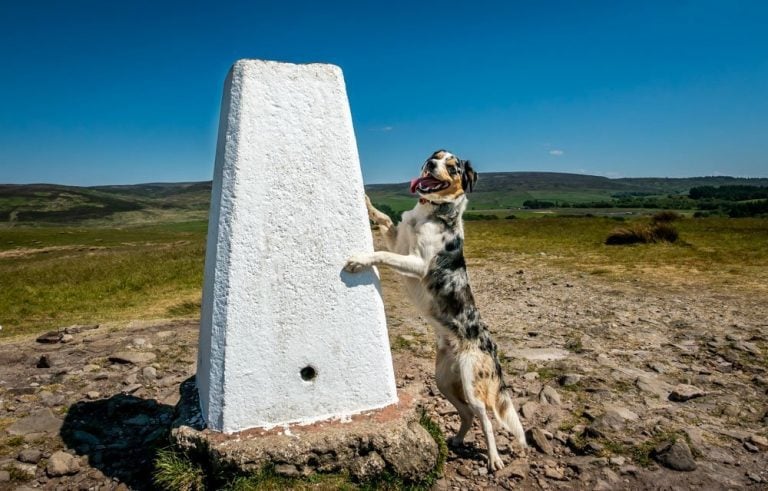 A Walk Up And Around Nicky Nook, Lancashire