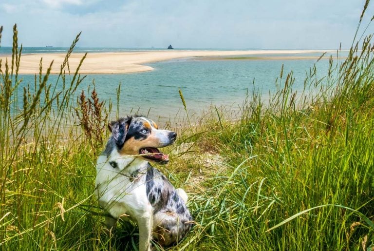 Humberston Fitties, A Walk Along The Seafront