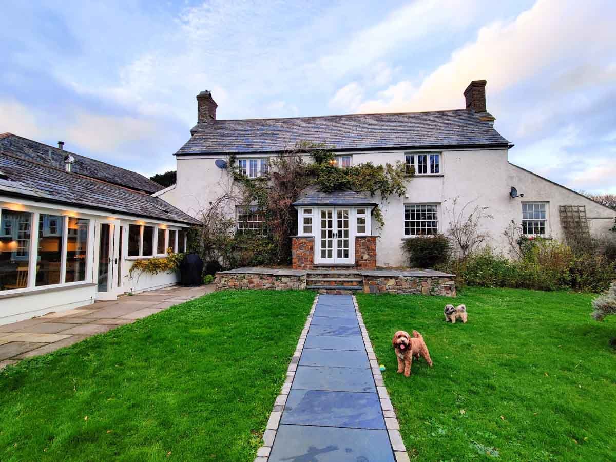 dogs in front of the farmhouse