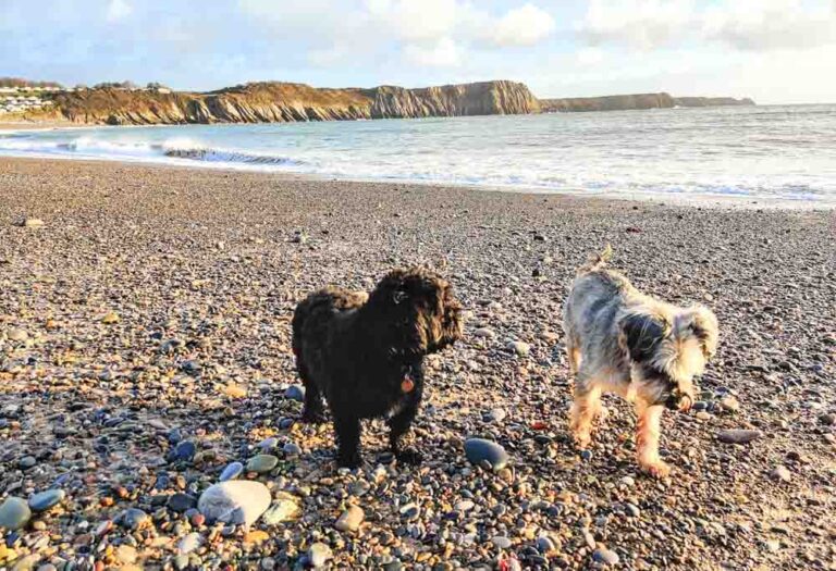 Westhills Coastal Cottage, Lydstep, Tenby