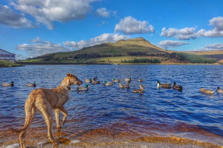 Dove Stone Reservoir – A Saddleworth Gem