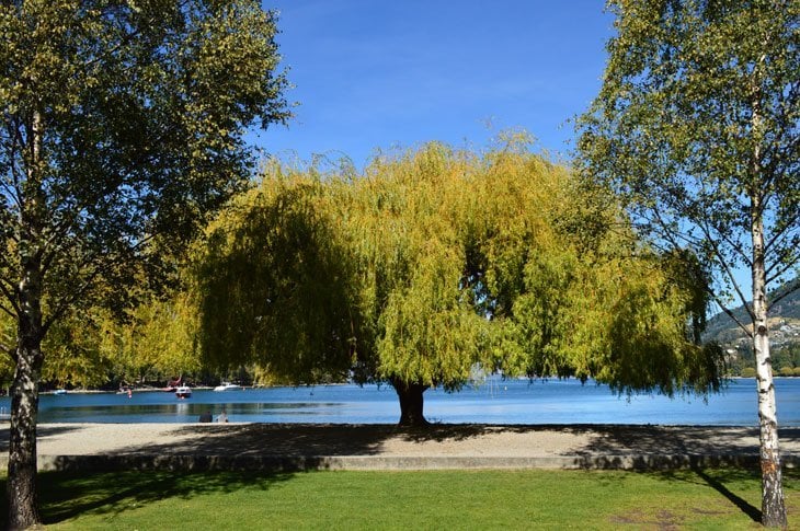 Queenstown - Calm Beauty Behind The Adventure