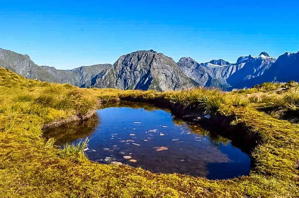 view from the mackinnon pass