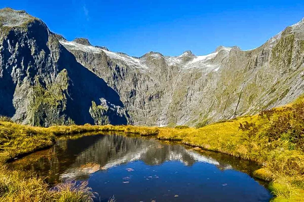 milford track view