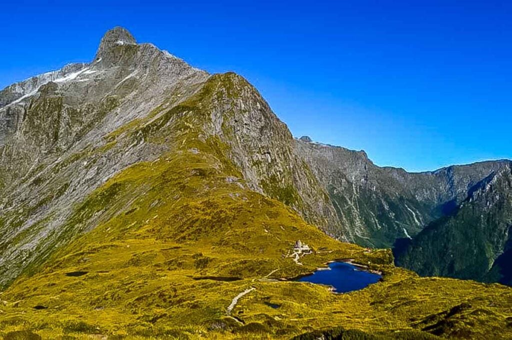 high on the milford track