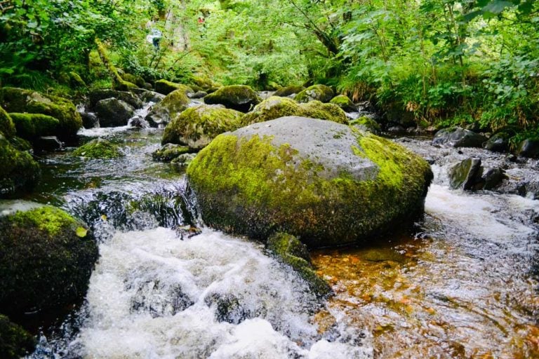 Aira Force Waterfall – Beauty In Ancient Woodland