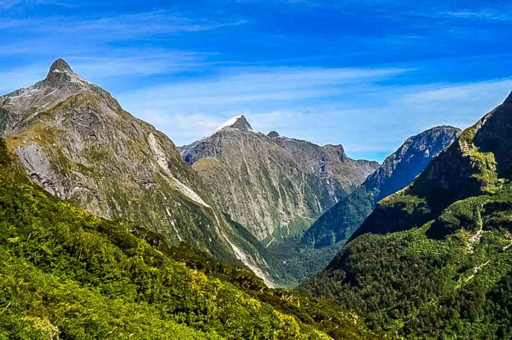 looking up the mackinnon pass new zealand