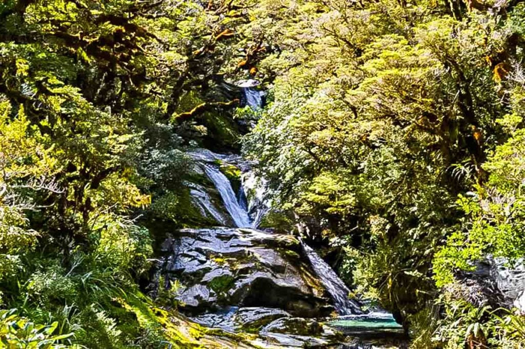 milford track waterfall