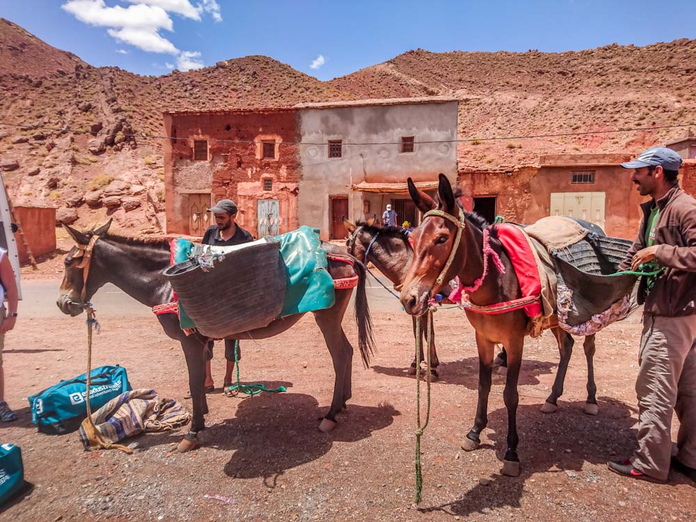 Trekking in the High Atlas, Morocco 4