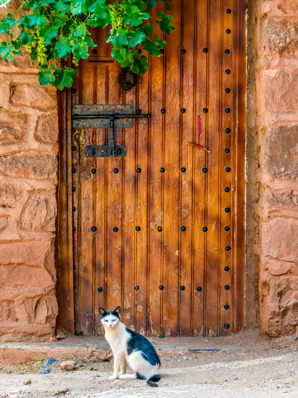 Trekking in the High Atlas, Morocco 6