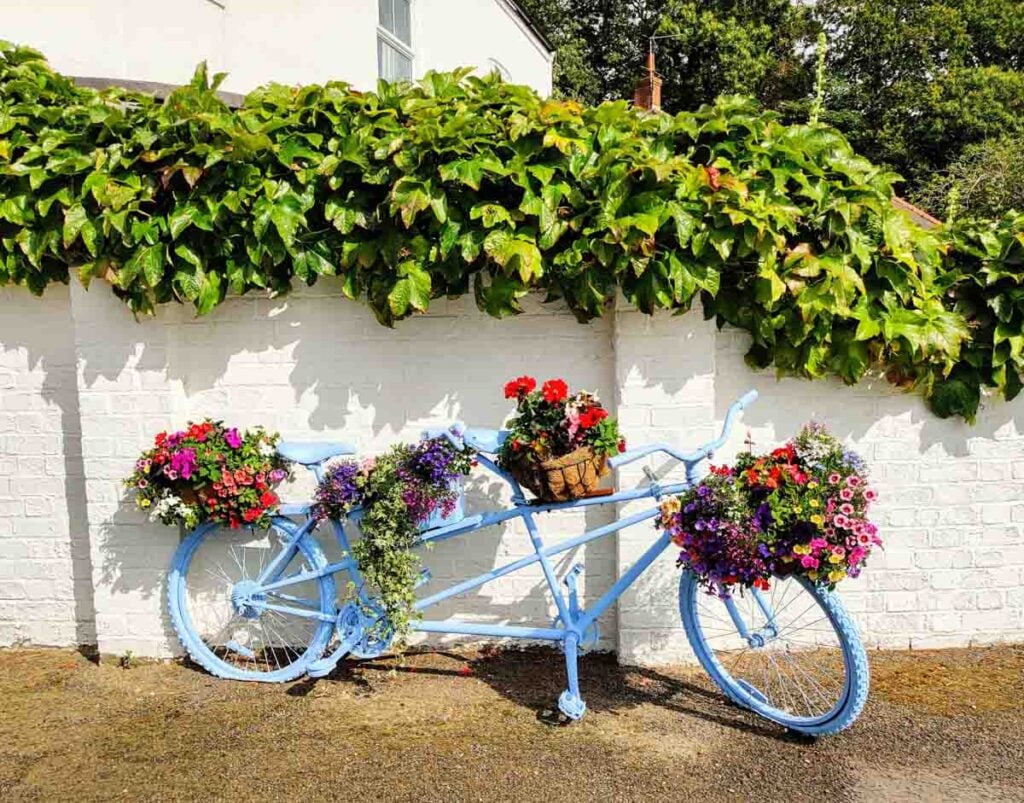 flowery bike