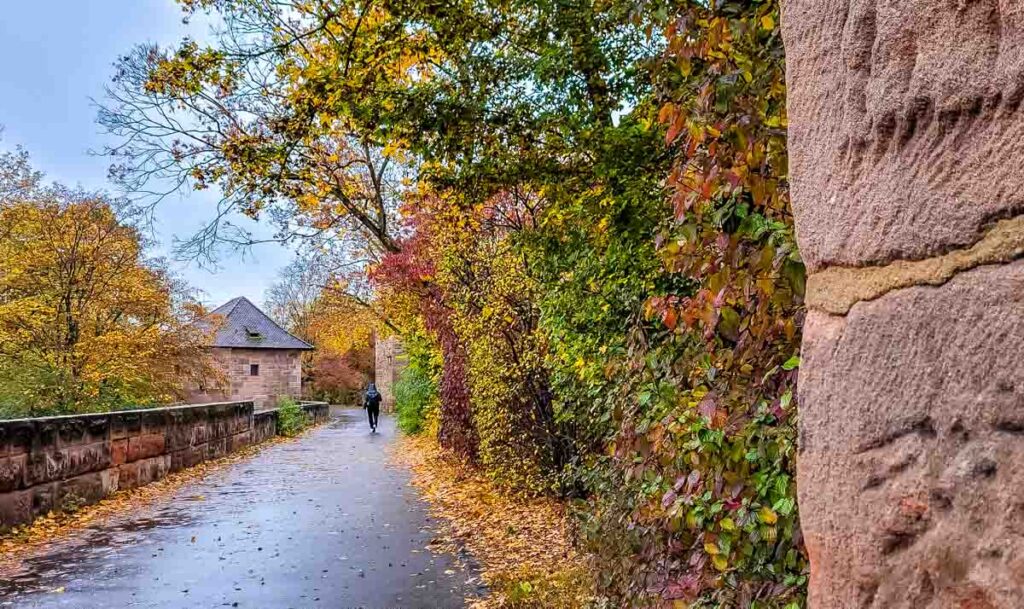 footpath in the rain