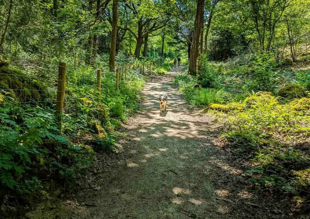 gait barrows nature reserve