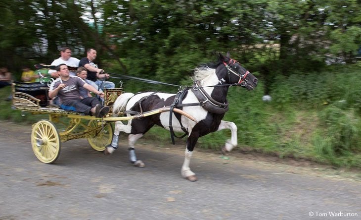 Appleby Horse Fair – Trotting and Racing The Flashing Lane