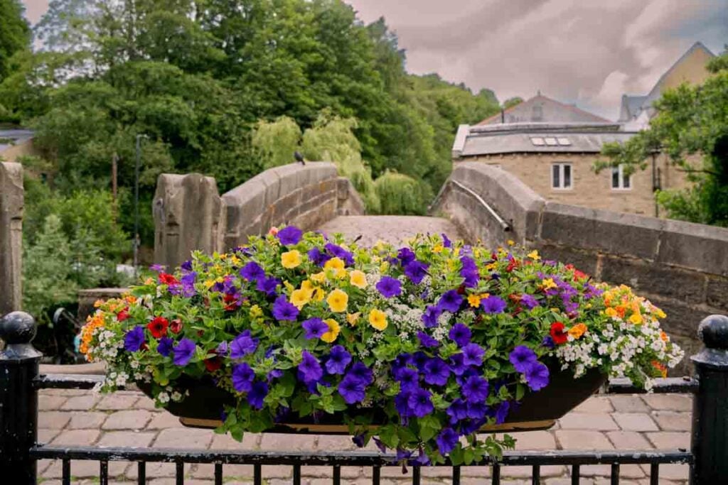 hebden bridge and flowers