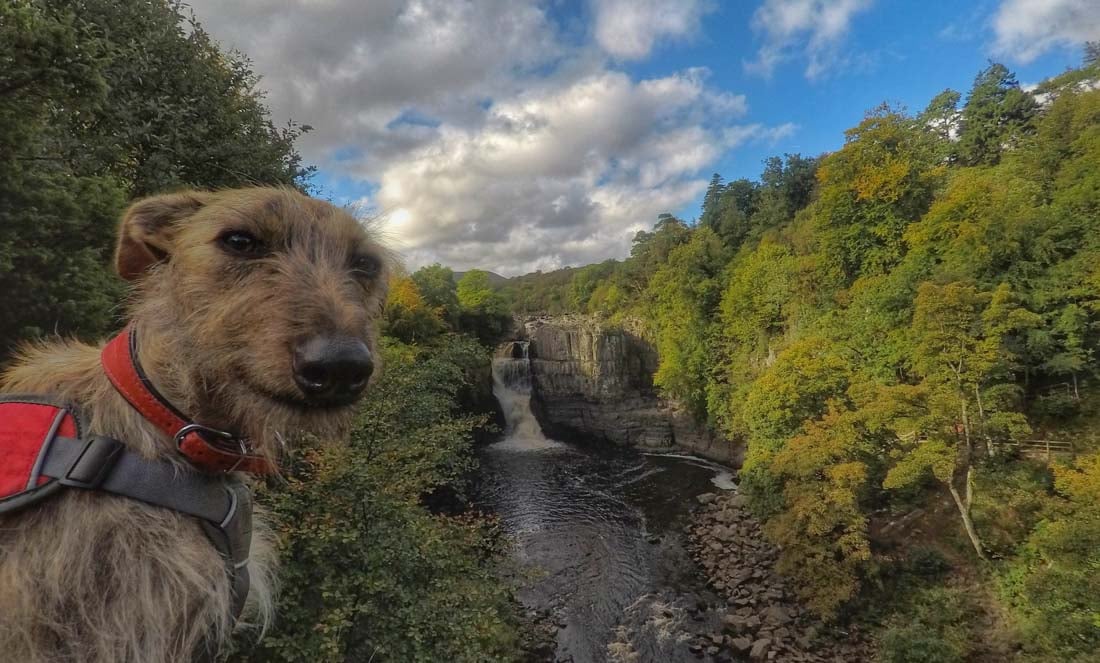 Low and High Force Walk - Durham Dales 1