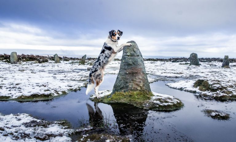 Walks On Ilkley Moor, Baht ‘At