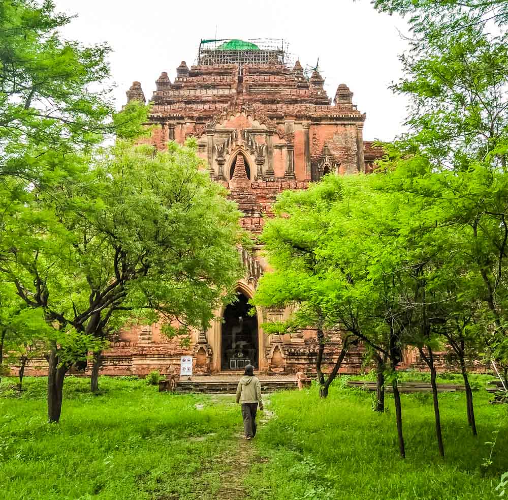 bagan trees