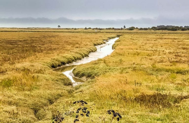 Pegwell Bay National Nature Reserve near Sandwich in Kent